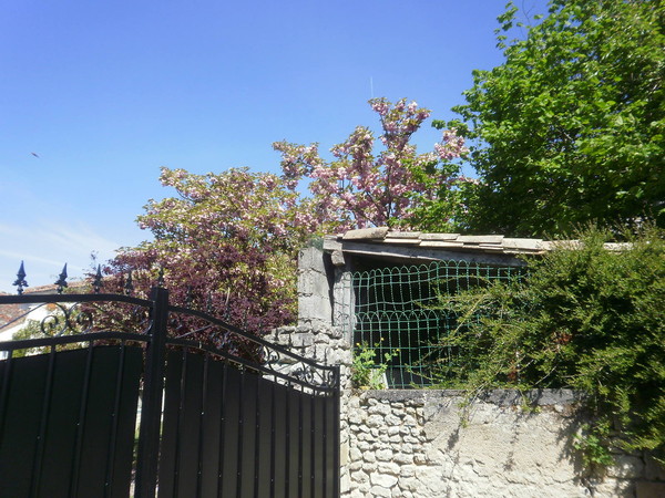 photo_14_(le portail)-le cheminant